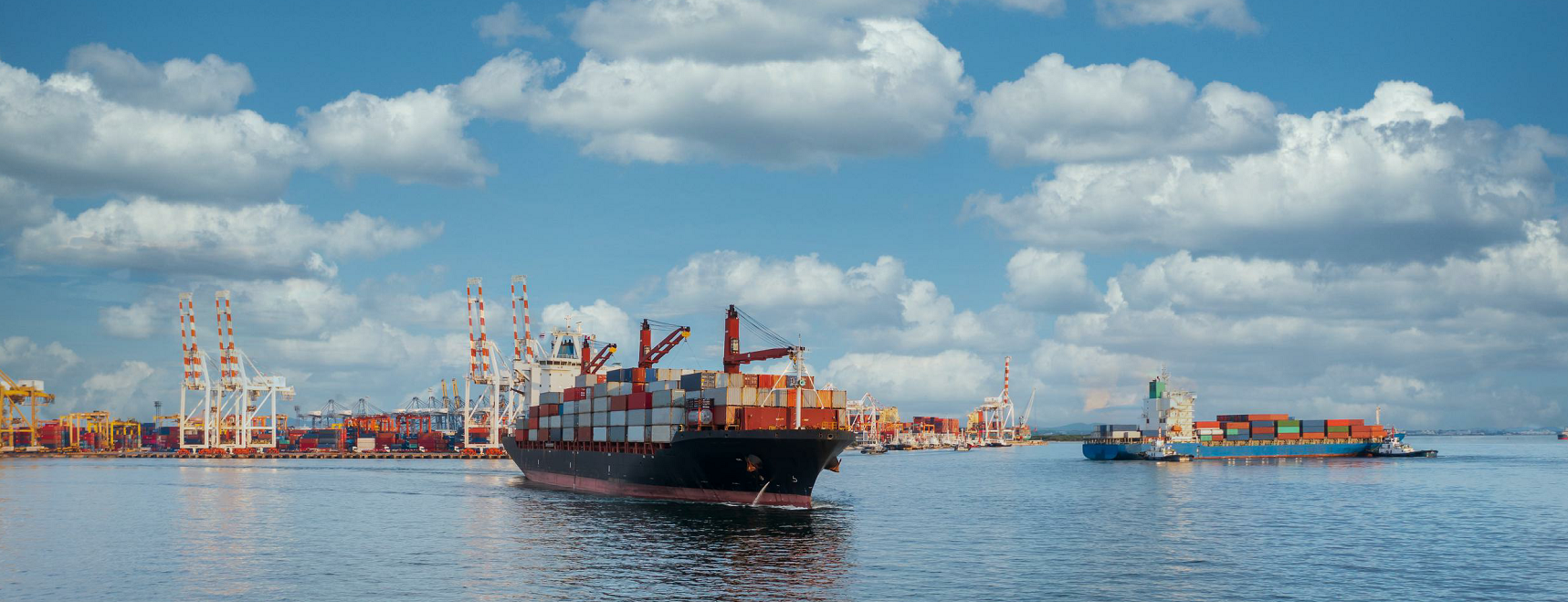 巴西白糖直达中国